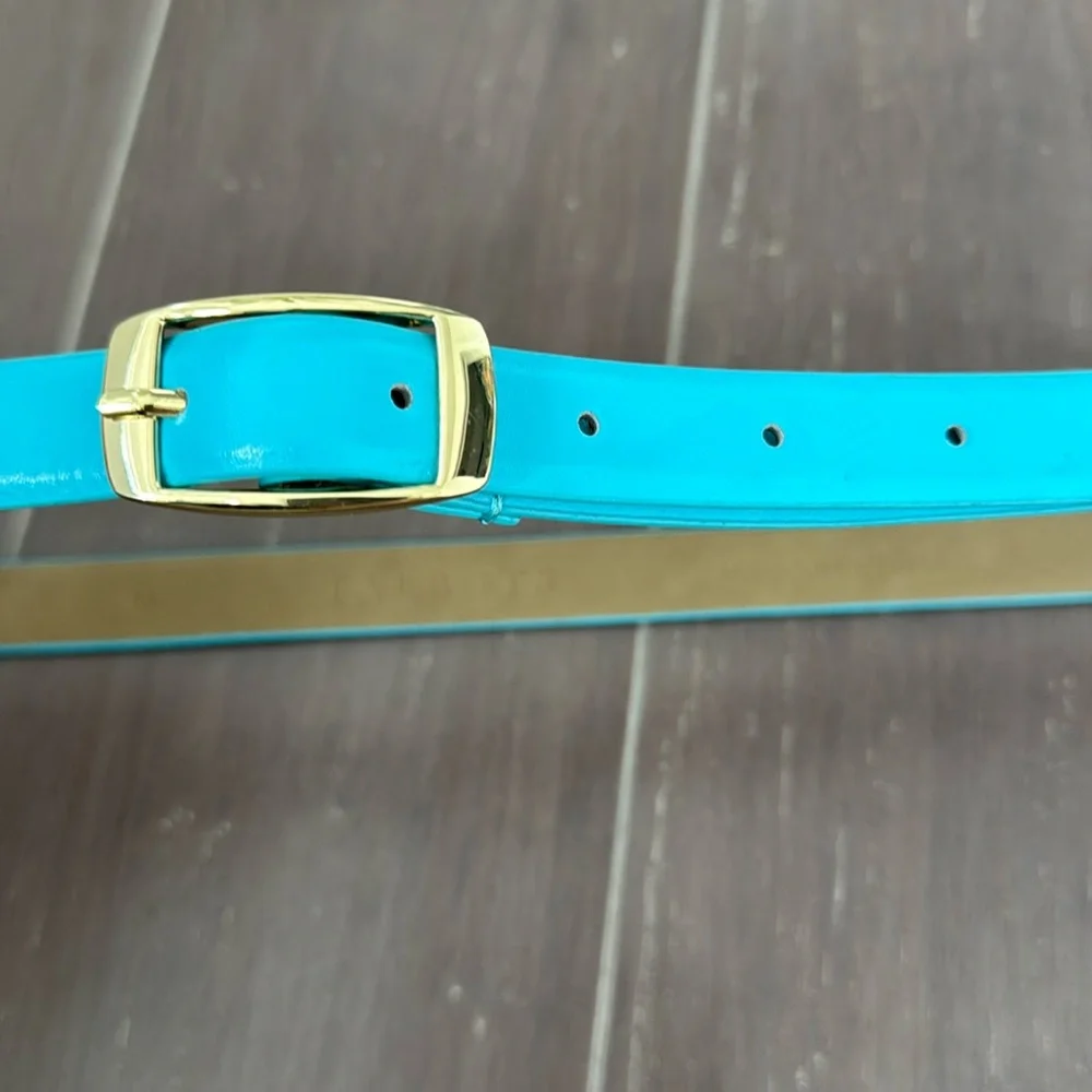 Talbots leather turquoise gold buckle skinny office classic summer belt Medium